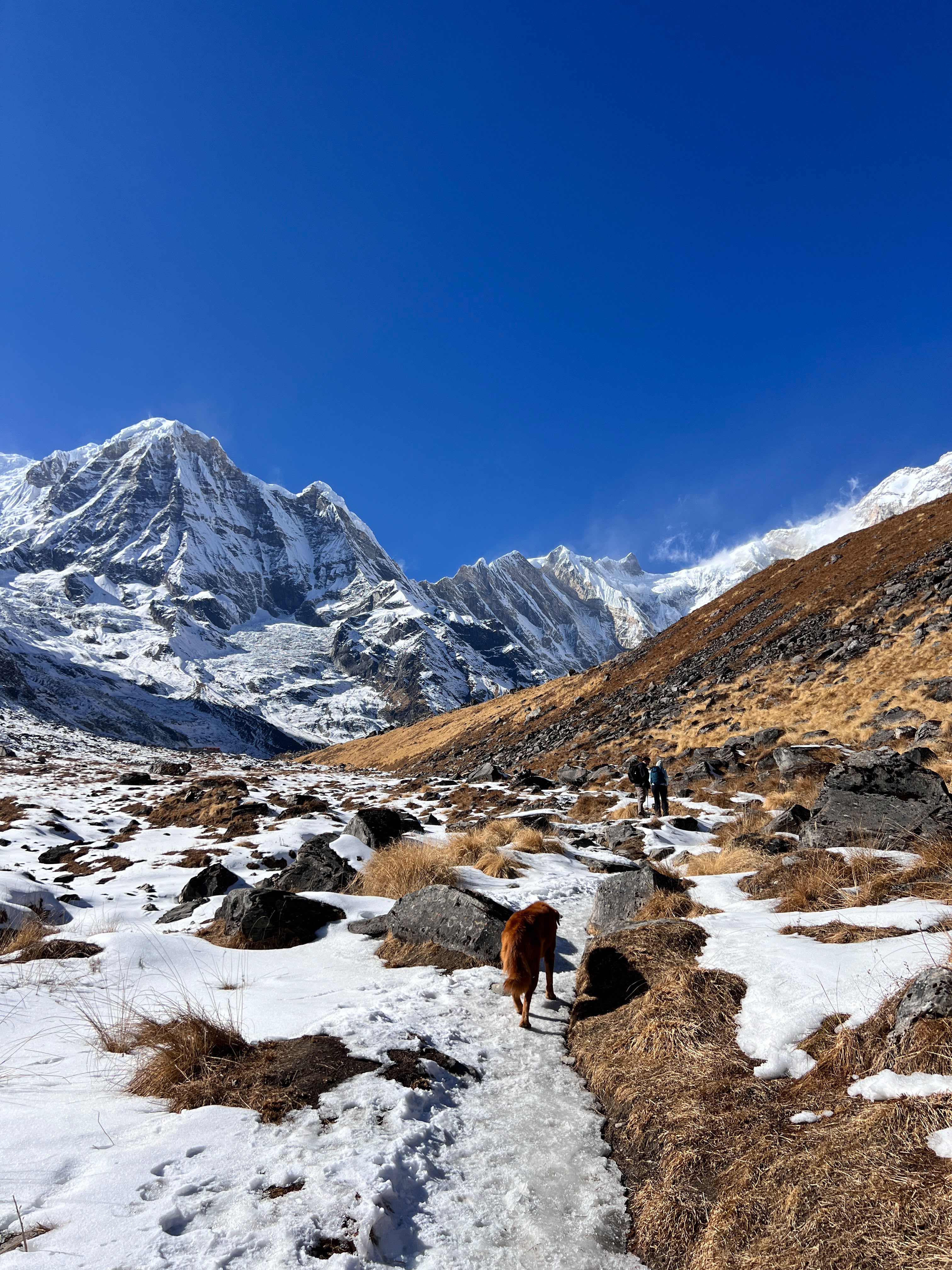 Classic Annapurna Base Camp Trek 7 Days photo 7