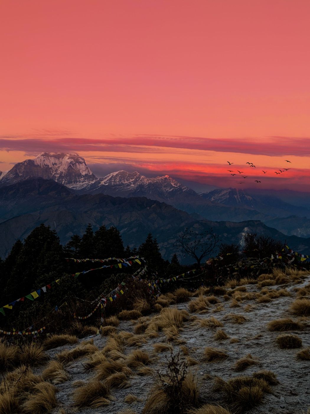 Ghorepani Poon Hill Trek - 4 Days — photo 2