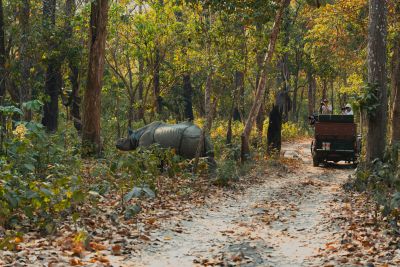 Chitwan Safari