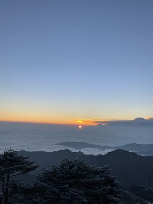 East Nepal- Illam-Kanyam-Sandakpur-Janakpur-Dharan